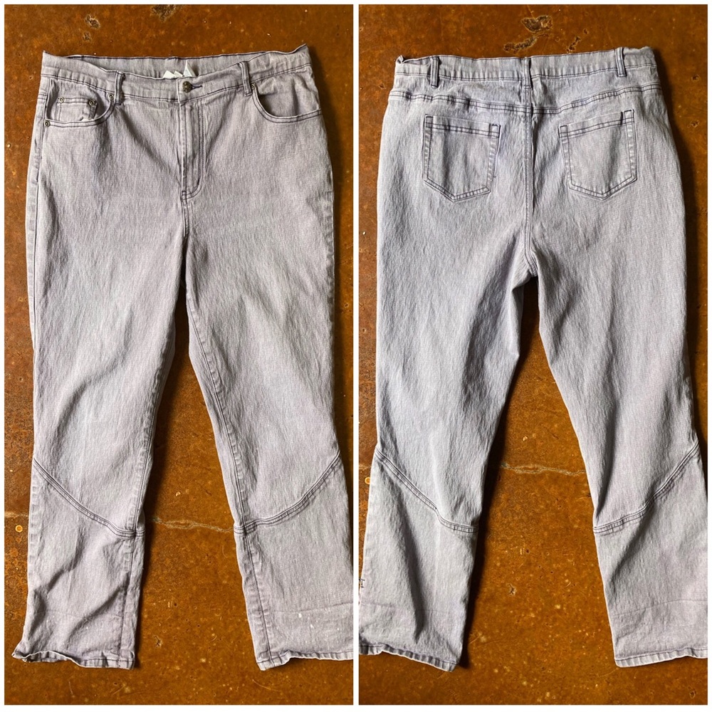 Purple/Grey Jeans - DG2 by Diane Gilman, Size 16T